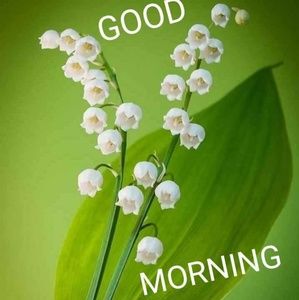 Meet your Posher, Kulvir